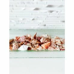 Arthur Court Designs Shell/Sea Life Oblong Tray Serveware