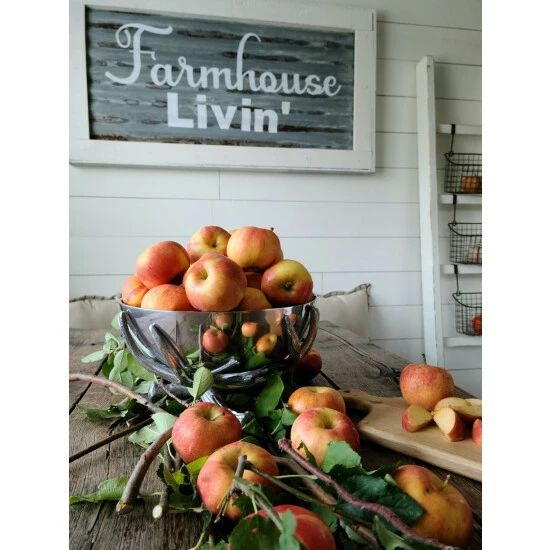 Arthur Court Designs Antler Pedestal Bowl Dinnerware & Flatware 4 Arthur Court Designs Antler Pedestal Bowl Dinnerware & Flatware - Image 4