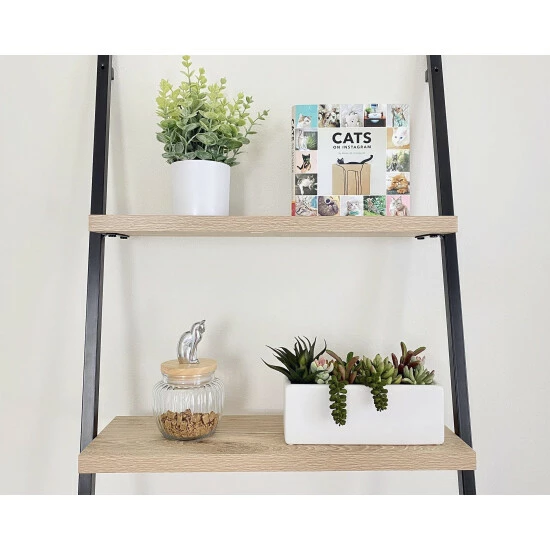 Arthur Court Designs Cat Treat Jar Accessories 8 Arthur Court Designs Cat Treat Jar Accessories - Image 8