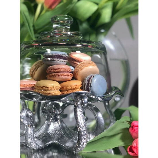 Arthur Court Designs Octopus Tray with Glass Dome Serveware Arthur Court Designs Octopus Tray With Glass Dome Serveware -Arthur Court Designs Sales unnamed file 3236